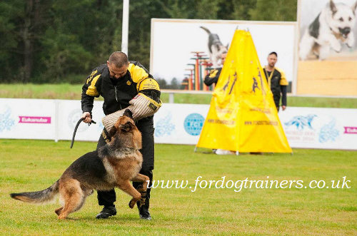 schutzhund dog bite sleeve